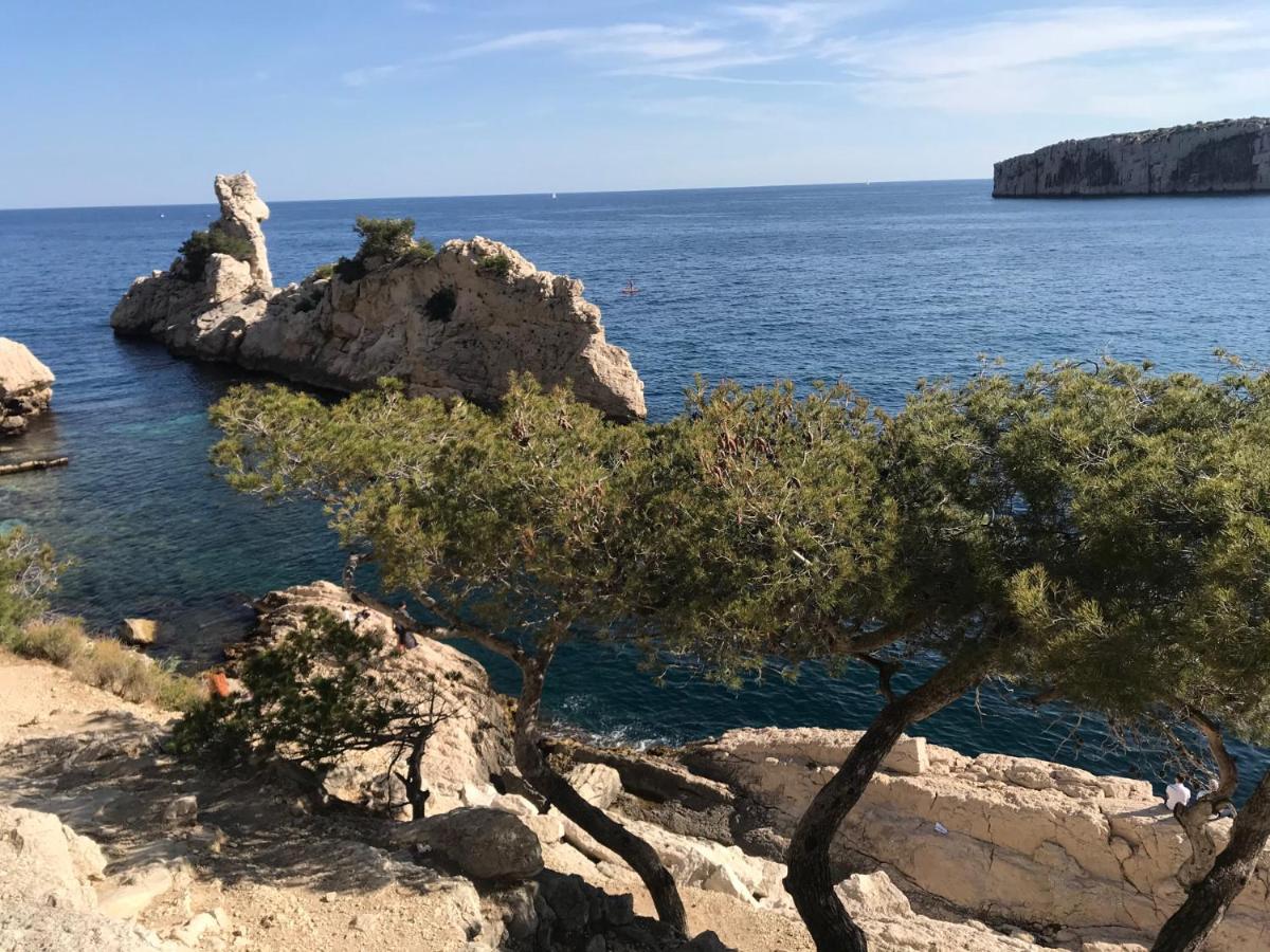 Bas De Villa Jardin Plein Sud Proche Mer Clim-Wifi Saint-Mandrier-sur-Mer Zewnętrze zdjęcie