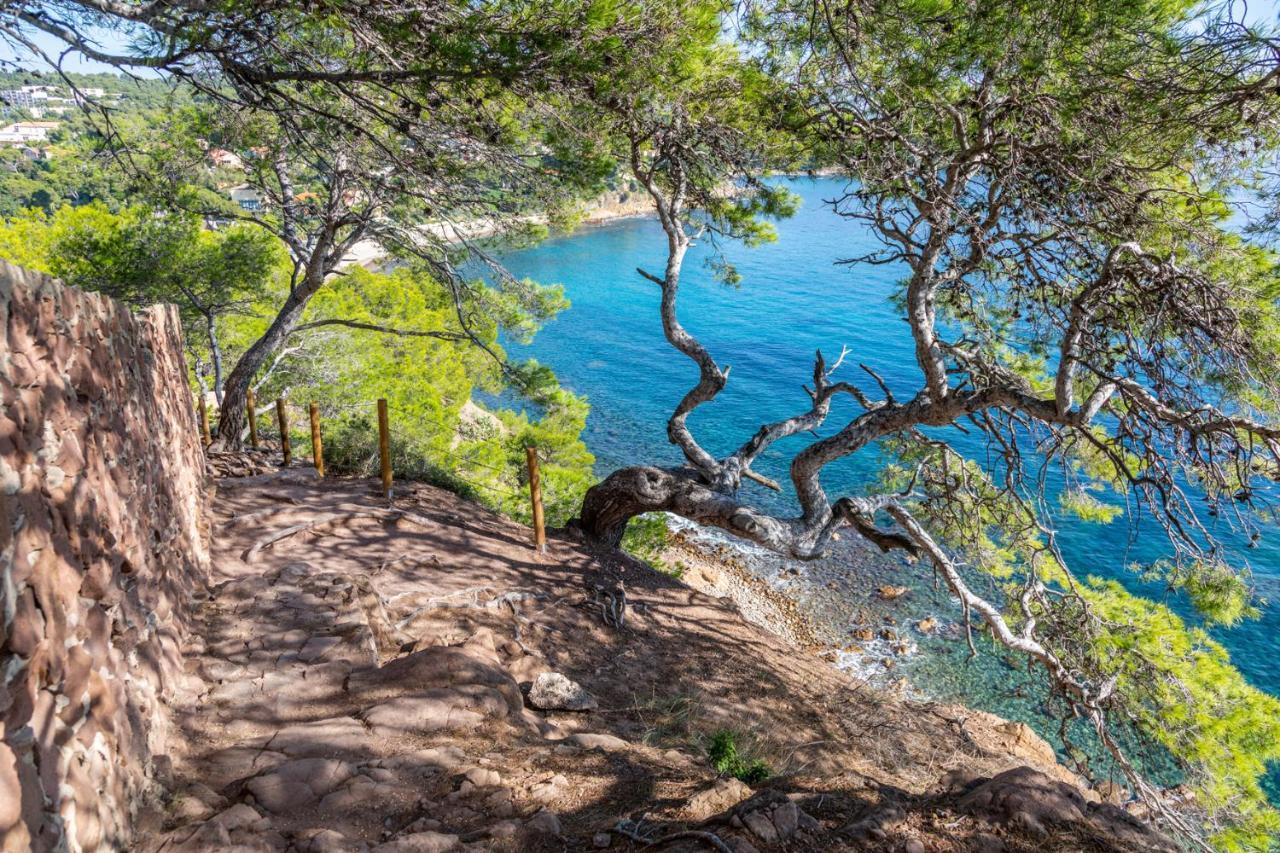Bas De Villa Jardin Plein Sud Proche Mer Clim-Wifi Saint-Mandrier-sur-Mer Zewnętrze zdjęcie