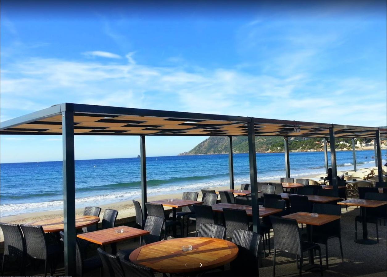 Bas De Villa Jardin Plein Sud Proche Mer Clim-Wifi Saint-Mandrier-sur-Mer Zewnętrze zdjęcie