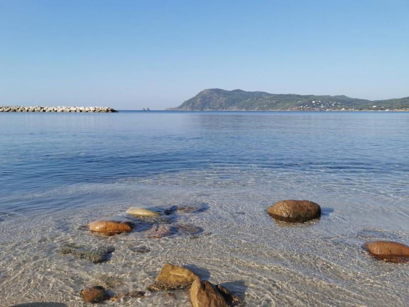 Bas De Villa Jardin Plein Sud Proche Mer Clim-Wifi Saint-Mandrier-sur-Mer Zewnętrze zdjęcie