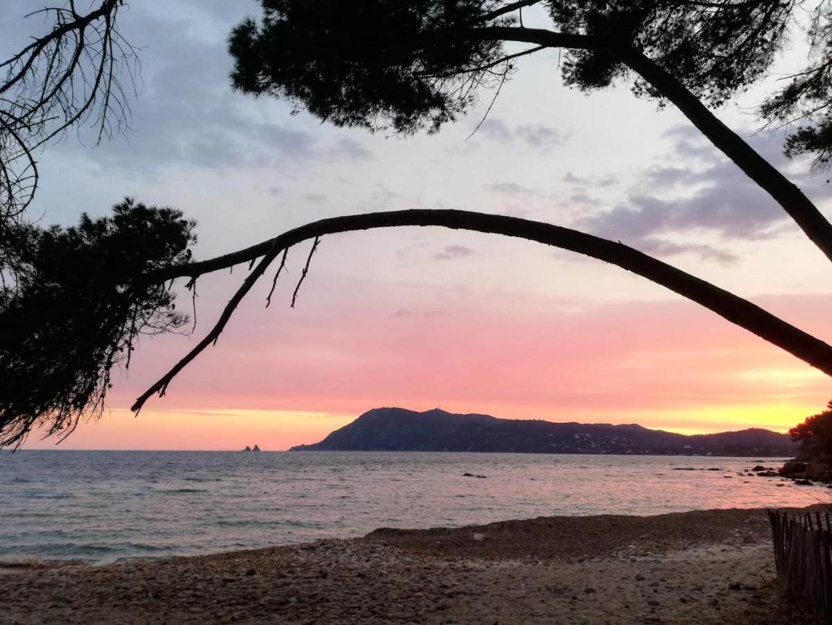 Bas De Villa Jardin Plein Sud Proche Mer Clim-Wifi Saint-Mandrier-sur-Mer Zewnętrze zdjęcie